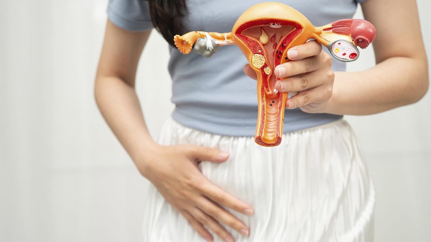 Tratamento para distúrbios ginecológicos em Brasília DF Dra. Jaqueline Ramos MTC