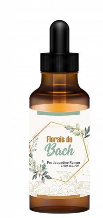 floral-de-bach-brasilia-df